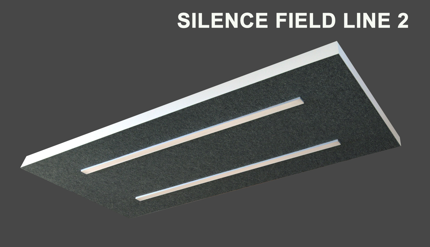 SILENCE FIELD LINE 2